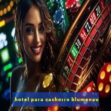 hotel para cachorro blumenau